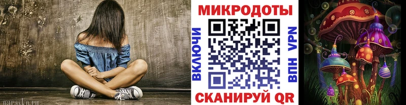площадка формула  Новый Уренгой  Галлюциногенные грибы Psilocybe 